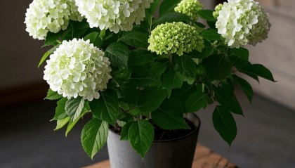 交易性金融资产的成本和公允价值差异如何做账务处理？