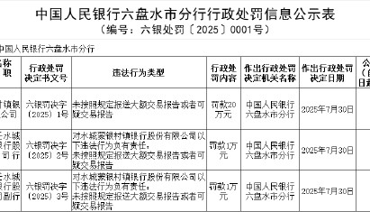 水城蒙银村镇银行被罚20万元：未按照规定报送大额交易报告或者可疑交易报告