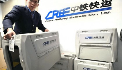 “毛孩子”乘高铁更便捷,今起高铁宠物托运服务试点三次扩围