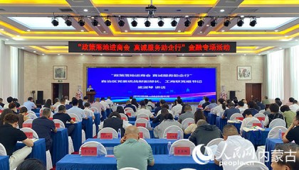 自治区工商联举办“政策落地进商会 真诚服务助企行”金融专场活动