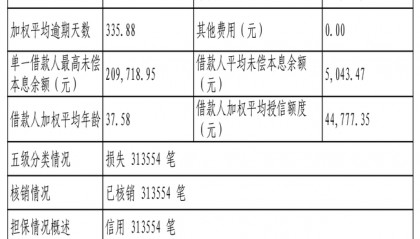 蚂蚁消费金融313554笔不良贷款转让,未偿本息总额6.03亿元