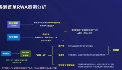网络虚拟币的分析(网络虚拟币的分析与研究)