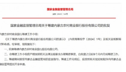 内蒙古农村金融机构2024年亏损360多亿?