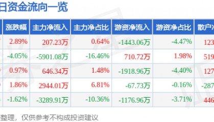 新力金融(600318)6月16日主力资金净买入207.23万元