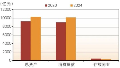 消费金融公司,2024年发展如何?