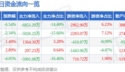 新力金融(600318)6月19日主力资金净卖出6851.20万元