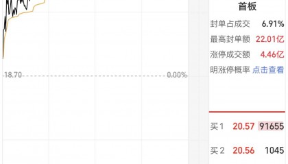马年行情来了？年内已有9只“马字辈”股票翻倍
