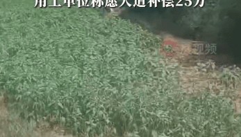 54岁农民工在工地附近如厕被气枪击杀,肇事者自首,用工单位愿补偿25万,家属发声