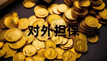 新力金融为子公司提供800万担保