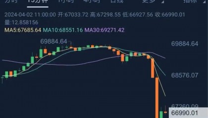 网络虚拟币的分析(网络虚拟币是什么意思)