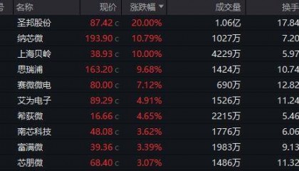 模拟芯片板块大涨,圣邦股份、纳芯微、上海贝岭等涨停