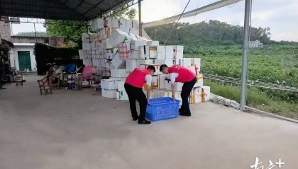 财政金融协同发力,筑牢台风“桦加沙”防灾安全线