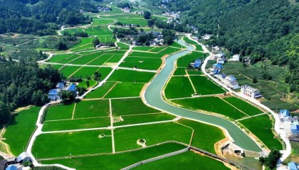 【凤冈】粤黔协作•珠遵联璧|珠遵协作共建乡村振兴特色带