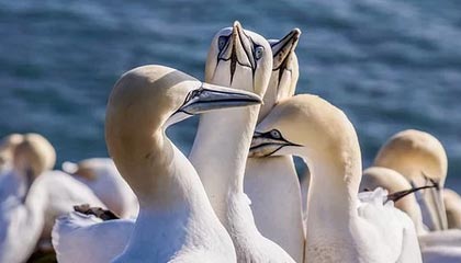 中国金融国际(00721)下跌10.61%,报0.059元/股