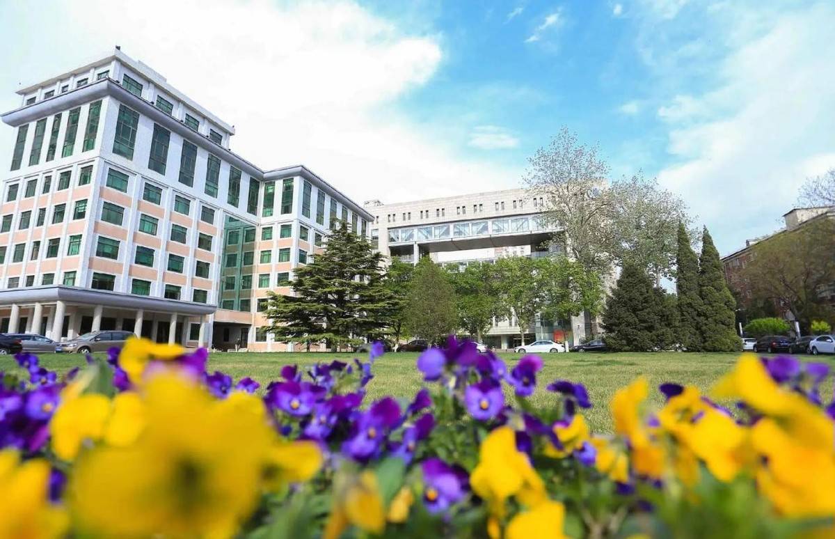 CBD学霸私藏！北京这5所国际本科院校，出门就是使馆区/金融街！