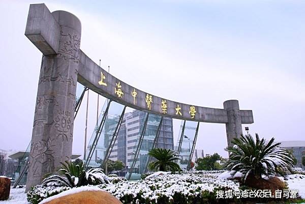 中医专业大学排名