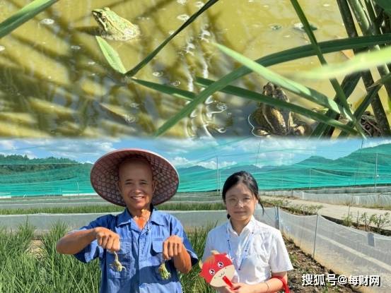 青山绿水擦亮共富底色 浙江稠州商业银行“两山”理论金融实践