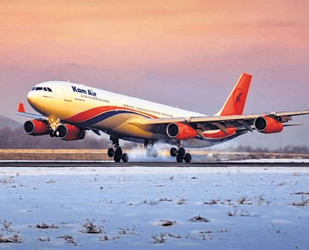 男孩爬飞机起落架,飞94分钟幸存,抵达印度,想去伊朗爬错飞机