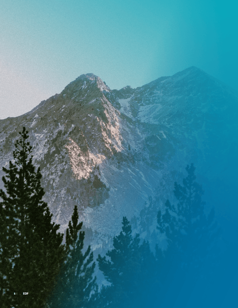 2025中国碳排放权交易体系:过去、现状和展望报告