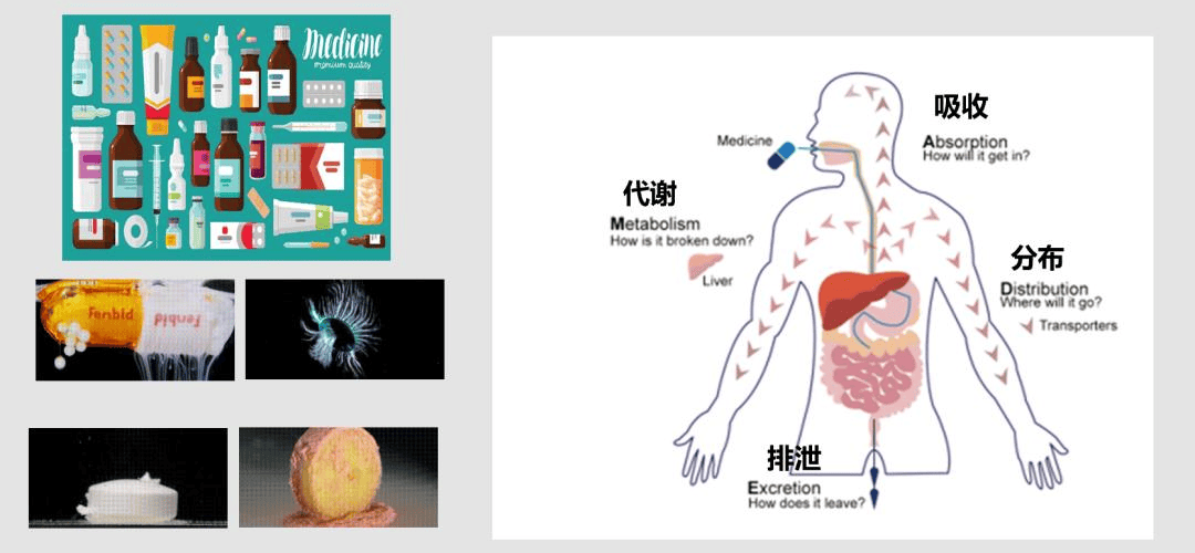 ADA的前世今生四| ADA检测的应用场景：从药物研发到临床监测，ADA无处不在！
