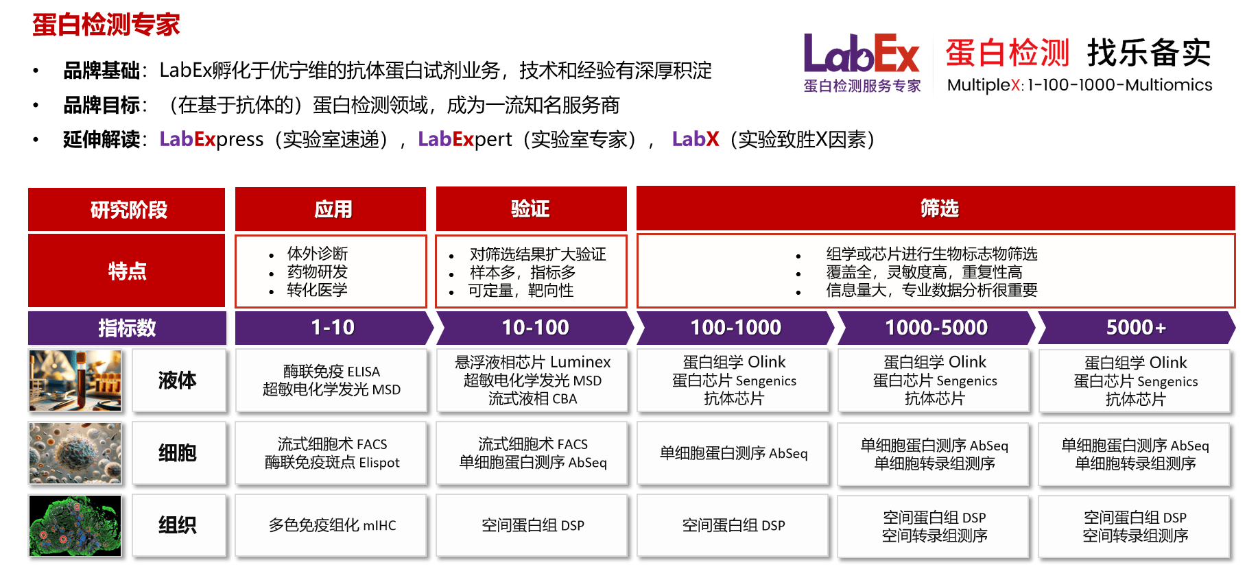 ADA的前世今生四| ADA检测的应用场景：从药物研发到临床监测，ADA无处不在！